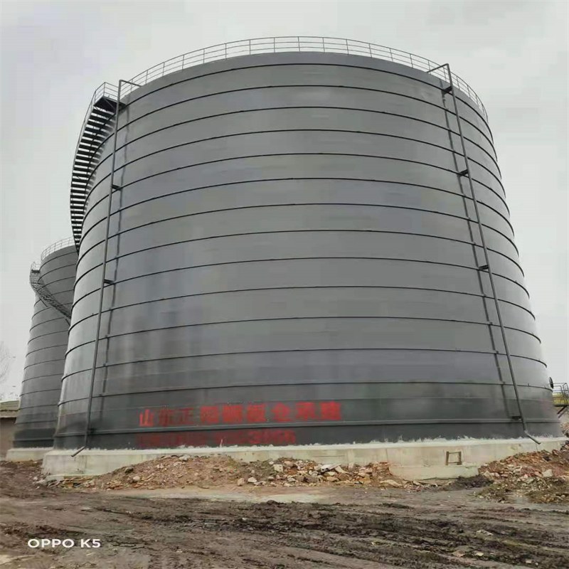 肥西3万吨大型钢板库