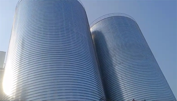 肥西2座混凝土高架卷板仓